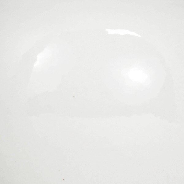 Alvia Ceramic Vase